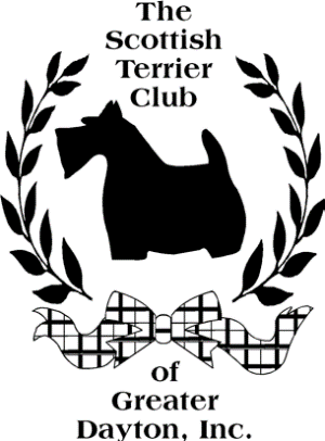 stcgd_logo Large